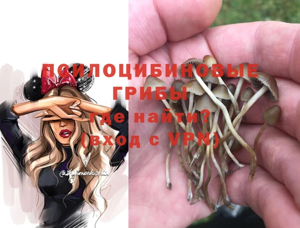 кокаин Богородицк