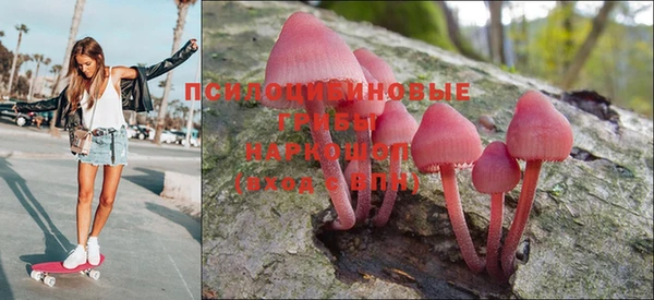 индика Беломорск