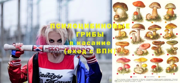 кокаин Богородицк