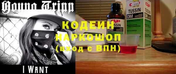 индика Беломорск