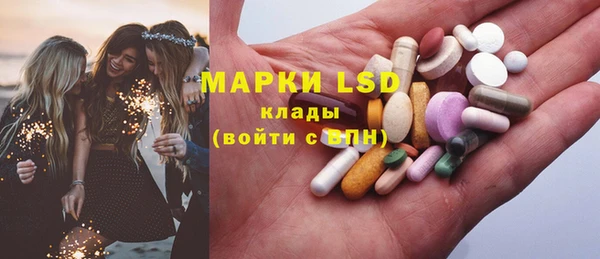индика Беломорск